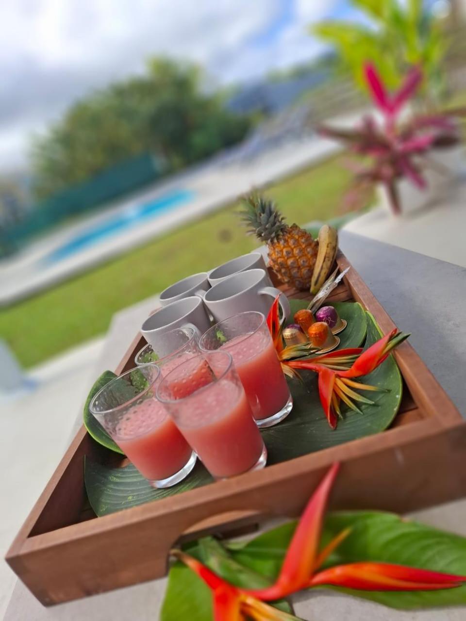 Villa Oneway, Piscine Privee, Classee 3 Etoiles ซานต์-โรส ภายนอก รูปภาพ